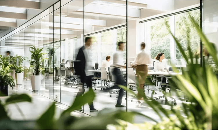 image - 2025-03-05T143742.371