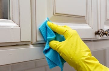 d8cd0124-d758-449a-acd0-d883126d0d33_Picture1.jpg?auto=compress,format&rect=0,12,1429,933&w=360&h=235