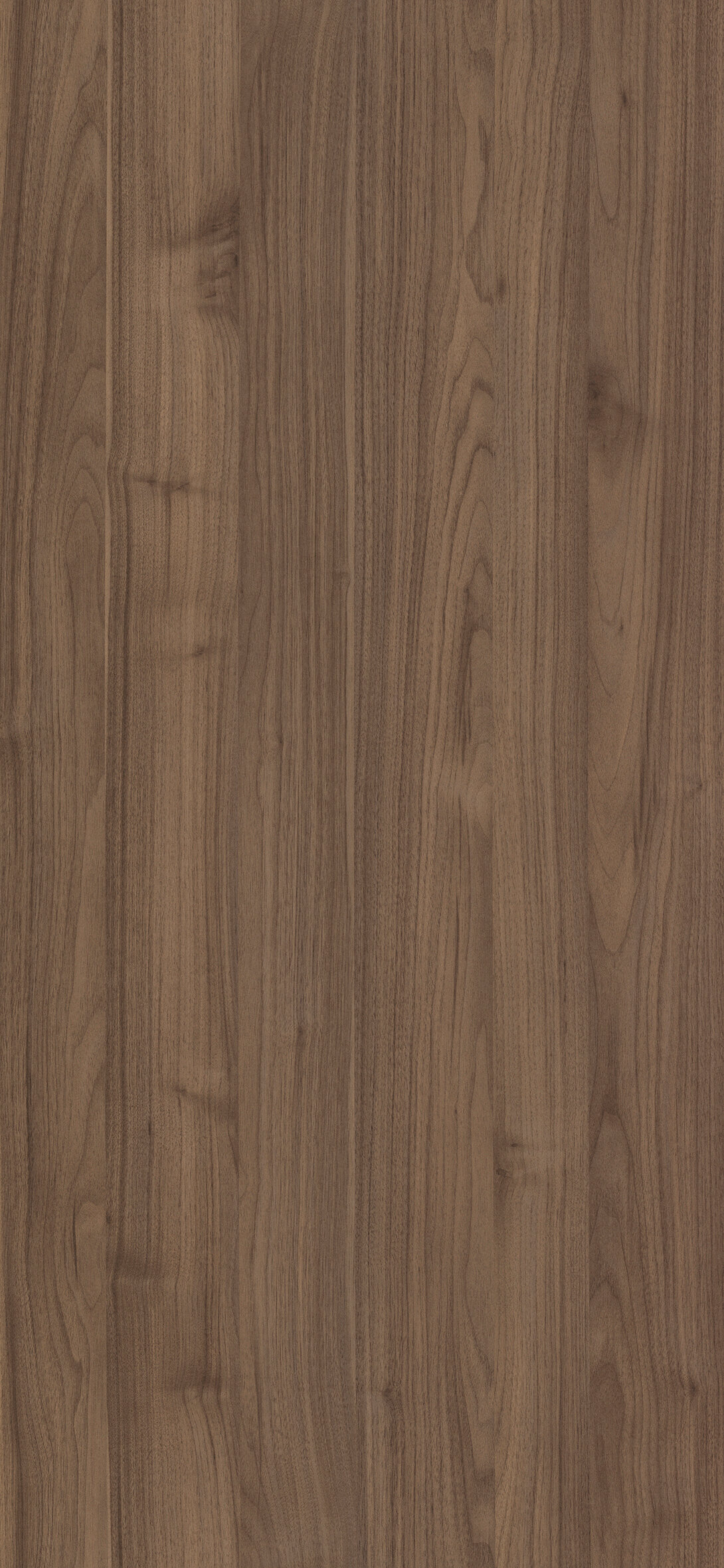 Nocce 3 finish texture detail