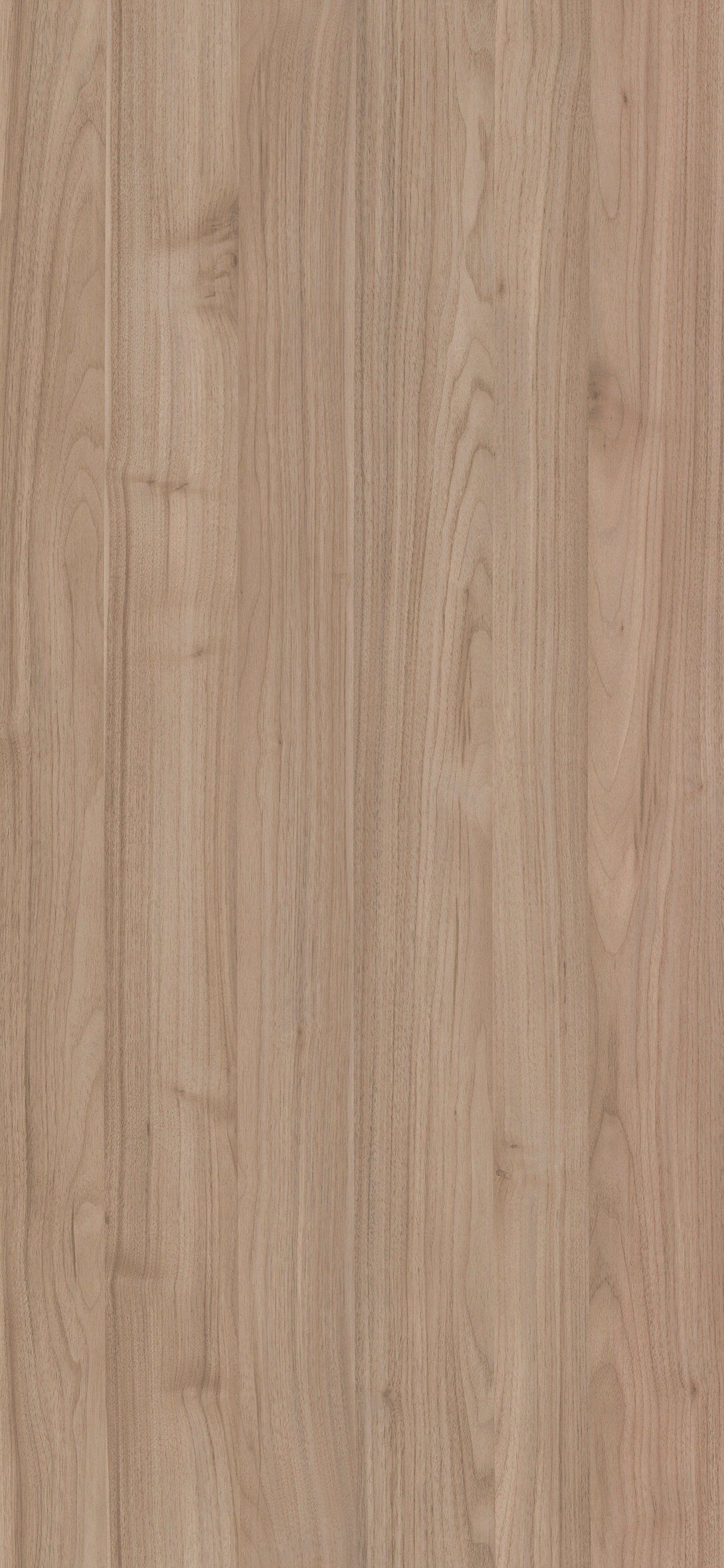 Nocce 1 finish texture detail